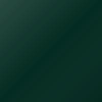 Renault Scenic E-tech (2002-2004) Ausbesserungslack – VERT EPICEA  ED.2 (Farbcode 926)