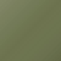 Renault Scenic E-tech (2006-2010) Ausbesserungslack - VERT GOYAVE (DNE)