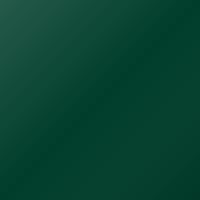 Renault Trafic (2008-2008) Ausbesserungslack – VERT WRIGHT (Farbcode F99)