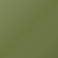 Renault Twingo (2003-2004) Ausbesserungslack – VERT RAINETTE (Farbcode F91)