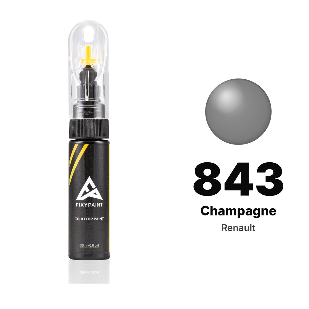 Touch-up paint for Renault 843 Champagne, Basic kit