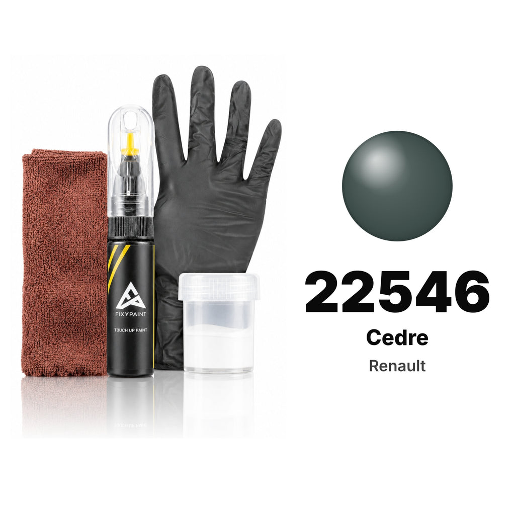 Touch-up paint for Renault 22546 Cedre, Complete kit