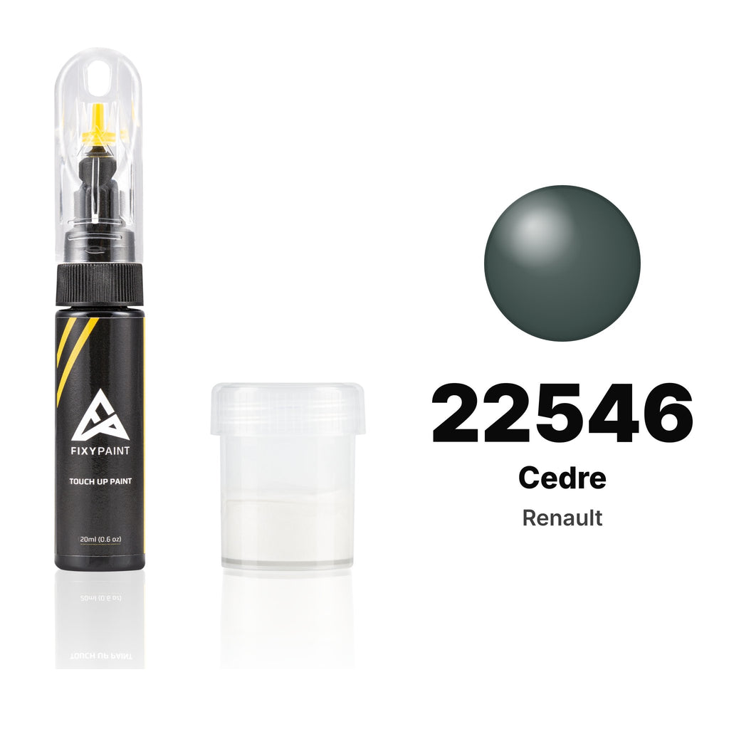 Touch-up paint for Renault 22546 Cedre, Standard kit