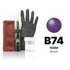 Touch-up paint for Renault B74 Violet, Complete kit
