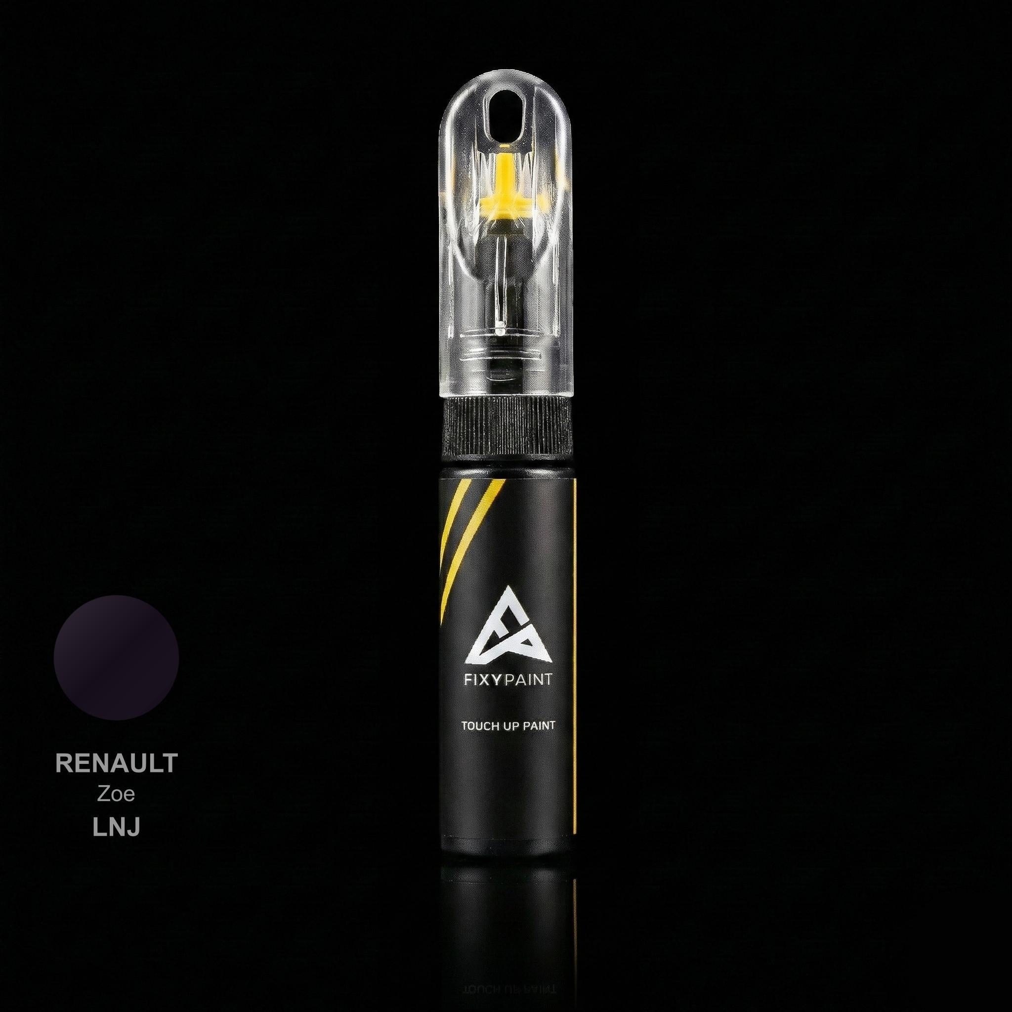 Renault Zoe touch up paint kit - VIOLET BLUEBERRY LNJ scratch repair
