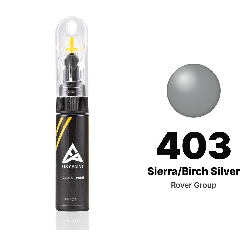 Touch-up paint for Rover Group 403 Sierra/Birch Silver, Basic kit