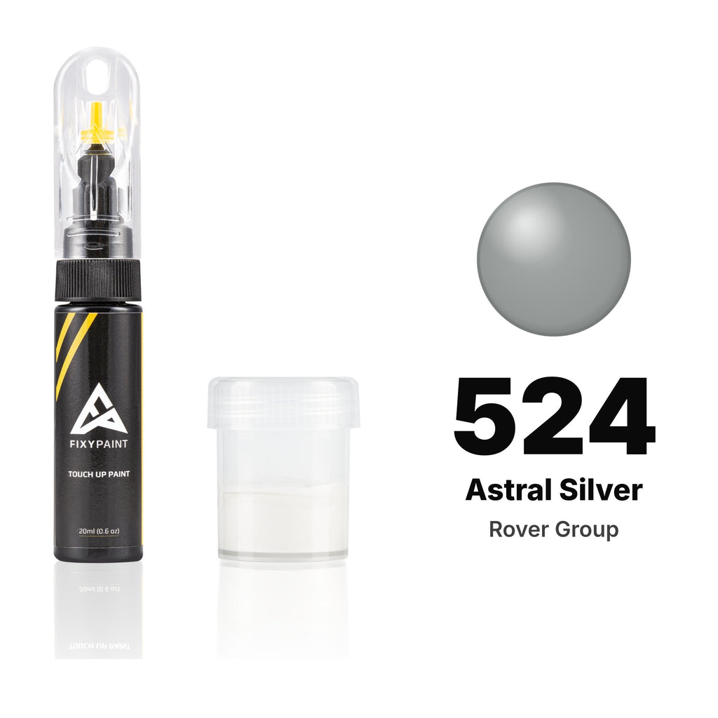 Touch-up paint for Rover Group 524 Astral Silver, Standard kit