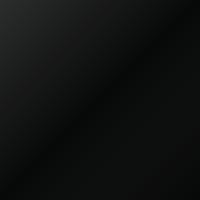 Pintura de retoque Rover Group City (2004-2005) – BLACK (Código PBU)