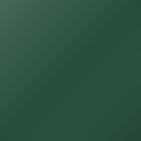Peinture de retouche Scania Universal Standard (1990-Present) – KIEFERNGRUEN (Code 1396307)