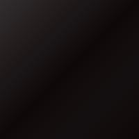 Peinture de retouche Seat Ibiza (2007-2009) – NEGRO INFERI (Code W9V)