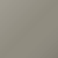 Peinture de retouche Seat Toledo (2002-2008) – BEIGE NIEBLA (Code S1R)