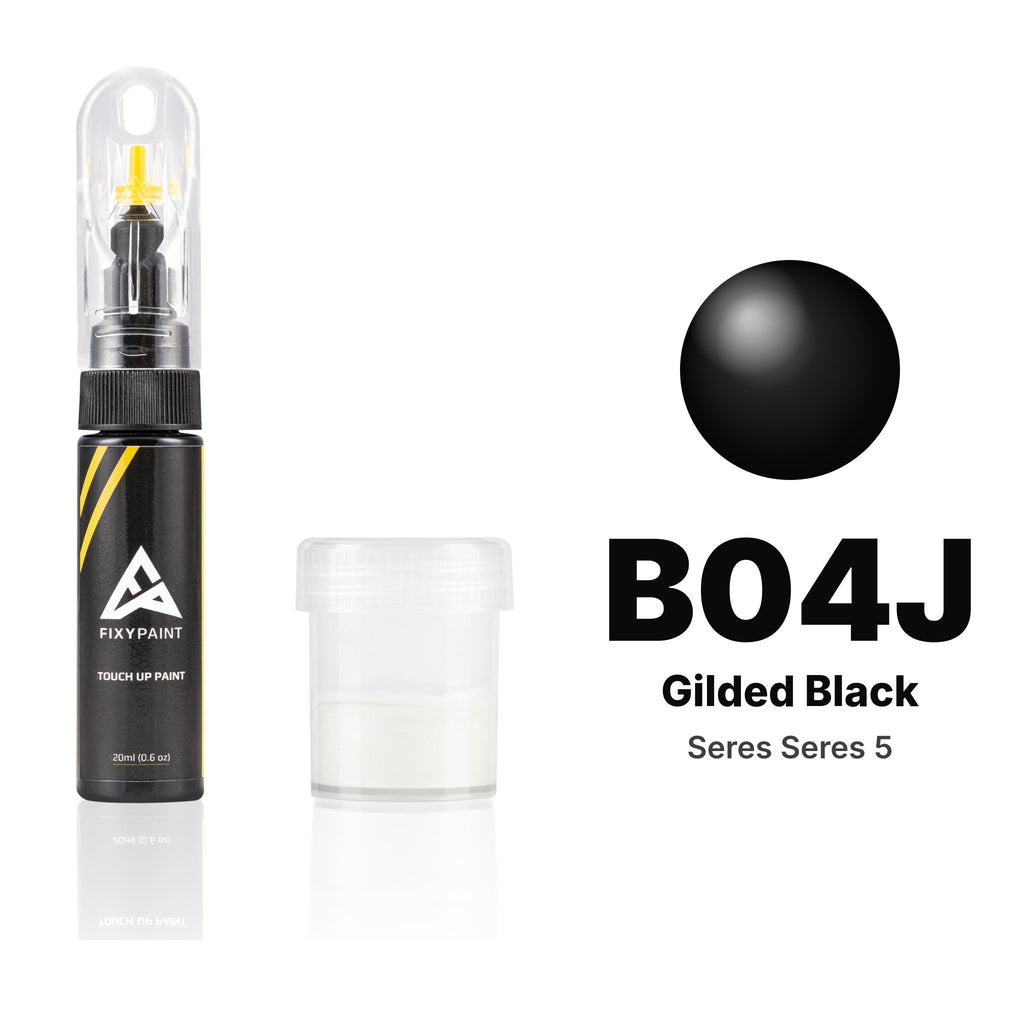 Touch-up paint for Seres Seres 5 B04J Gilded Black, Standard kit