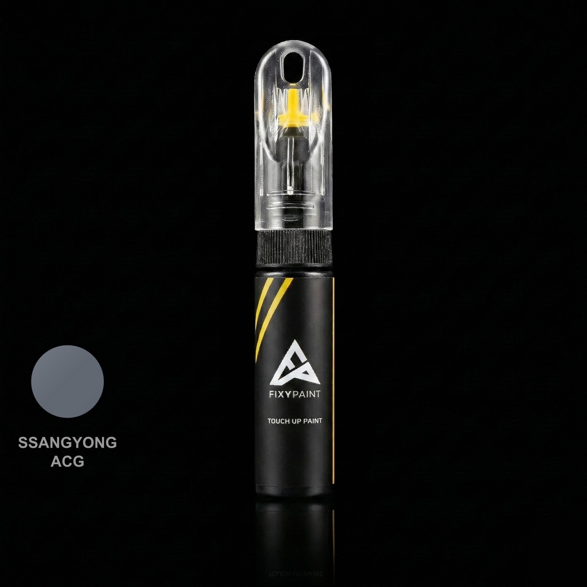Ssangyong Universal touch up paint kit - TONIC GRAY ACG scratch repair