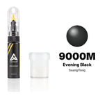 Touch-up paint for SsangYong 9000M Evening Black, Standard kit