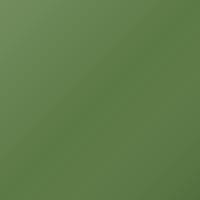 Subaru Universal (2016-2016) Ausbesserungslack – KIWI GREEN (Farbcode PAJ)