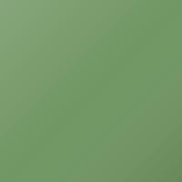 Subaru R2 (2006-2006) Ausbesserungslack – LUMINOUS GREEN (Farbcode 57M)