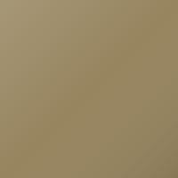 Suzuki Ignis (2017-2020) Touch Up Paint - HELIOS GOLD (Code ZWE)