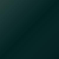 Peinture de retouche Suzuki Liana (2003-2006) – CACTUS GREEN (Code ZY6)