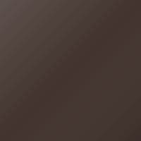 Suzuki Swift (2015-2015) Touch Up Paint - DUSKY BROWN (Code ZNB)