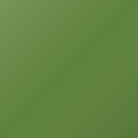 Suzuki Swift (2010-2010) Touch Up Paint - SHINY GREEN (Code ZPV)