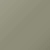 Suzuki Universal (2021-Present) Touch Up Paint - TRAD KHAKI (Code WBR)