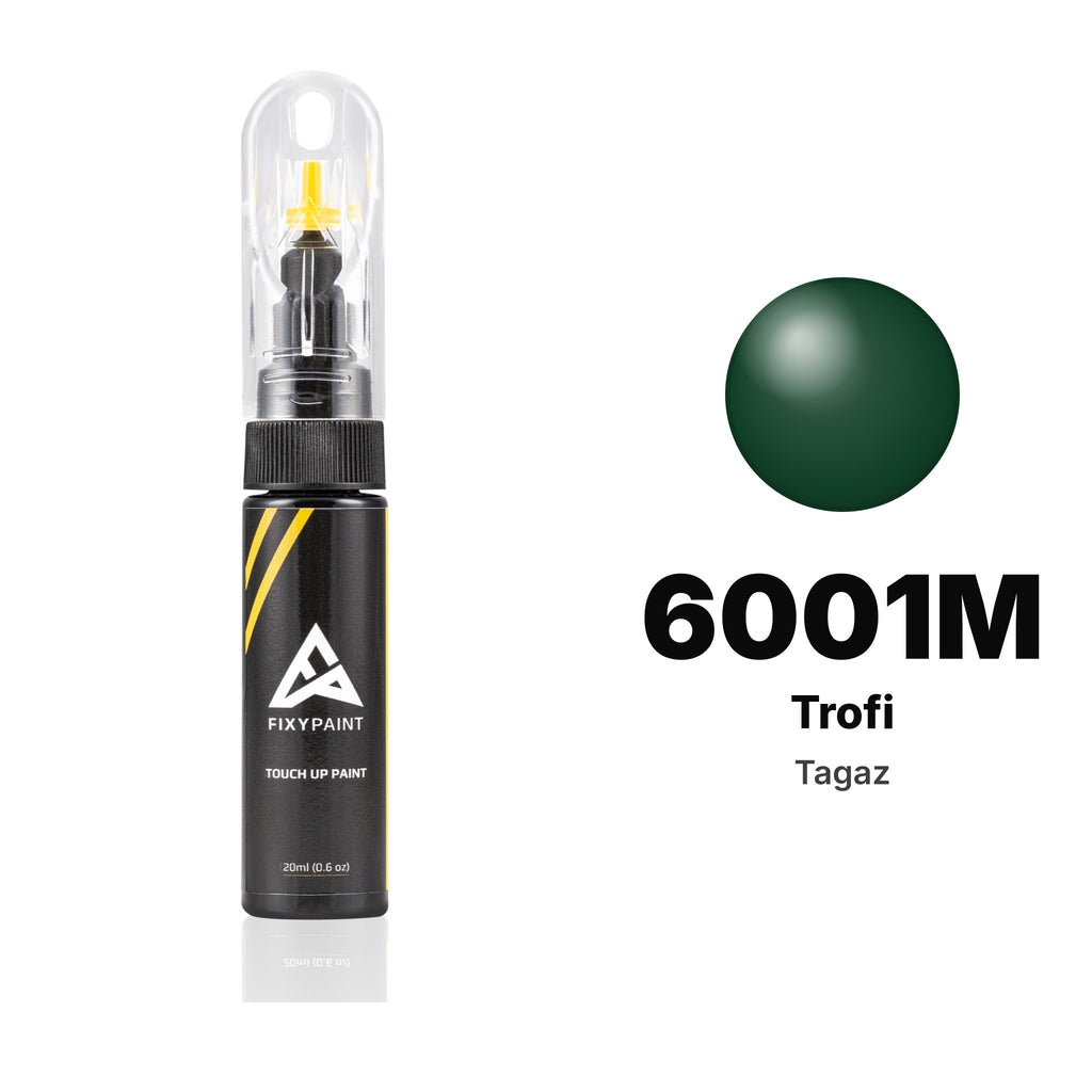 Touch-up paint for Tagaz 6001M Trofi, Basic kit