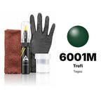Touch-up paint for Tagaz 6001M Trofi, Complete kit