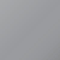 Vernice per ritocco Tata Universal (1995-2002) – SILVER GREY (Codice 040)