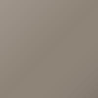 Pintura de retoque Tata Universal (2015-2017) – CHAMPAGNE GOLD (Código 214)