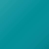 Tata Universal (2000-2005) Ausbesserungslack – FOREST GREEN (Farbcode 6003M)