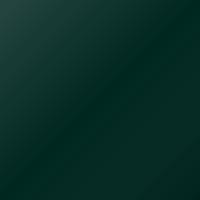 Pintura de retoque Tata Universal (2000-2005) – SOLID GREEN (Código 608)