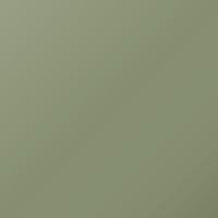 Tata Universal (2005-2012) Ausbesserungslack – MARSH GREEN (Farbcode 620)