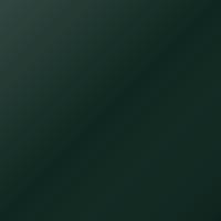 Tata Universal (2006-2012) Ausbesserungslack – PALM GREEN (Farbcode 631)