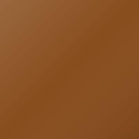Tata Universal (2007-2012) Ausbesserungslack – GOLDEN BROWN (Farbcode 802)