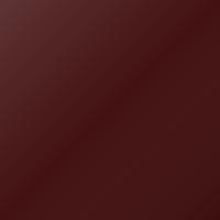 Vernice per ritocco Tata Universal (1997-2002) – BURNING RED (Codice 094)