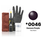 Touch-up paint for Tata Nano *0046 Damson Purple, Complete kit