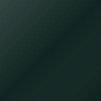 Pintura de retoque Tata Pick-up (2003-2010) – TIMBER GREEN (Código 615)