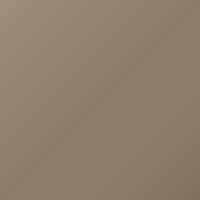 Toyota Tacoma (2016-2020) Ausbesserungslack – BEIGE (Farbcode 4V6)