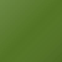 Peinture de retouche Toyota Universal (2015-2017) – LIME GREEN (Code TY60)