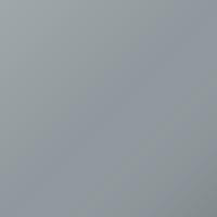 Vernice per ritocco Tvr Universal (1999-2006) – POLAR SILVER (Codice *0060)