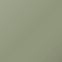 Voyah Universal (2023-Present) Vernice per ritocco - KHAKI GREEN (BN03)